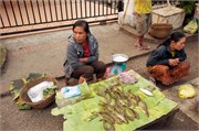 14697_Luang Prabang